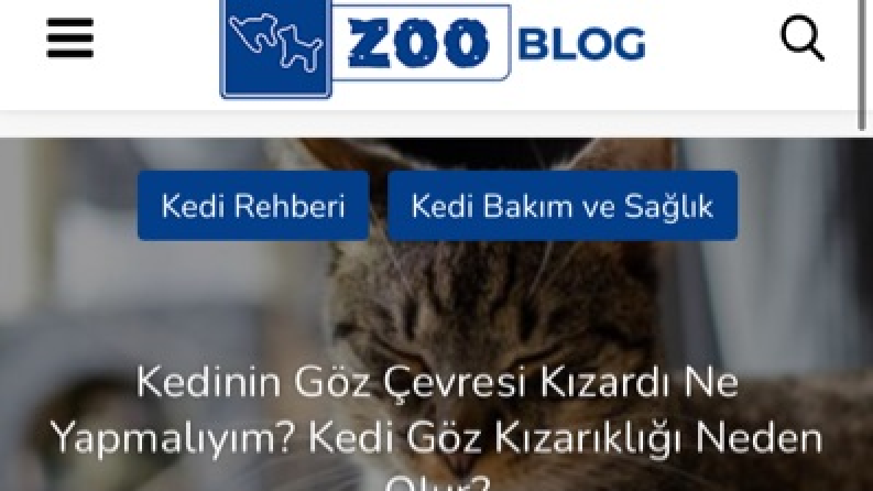 Zoo Blog İçeriği 