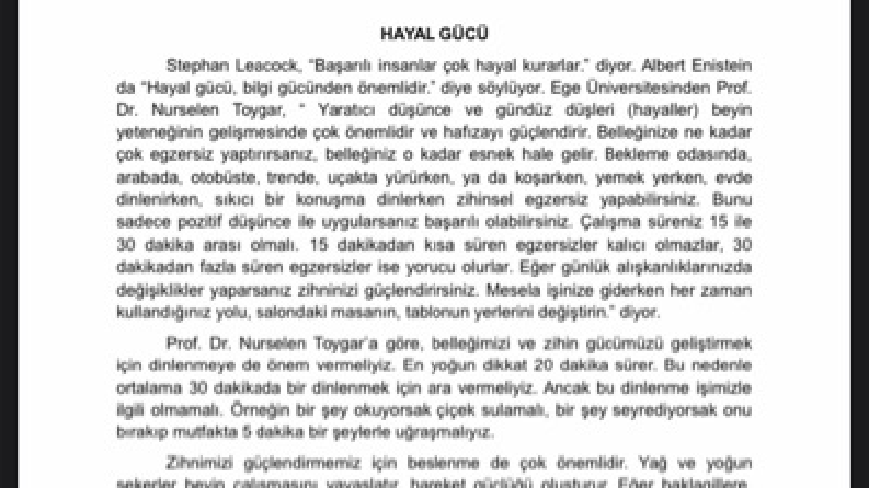 Örnek çeviri (başlangıç)