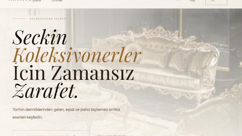 Örnek E-Ticaret Web Sitesi