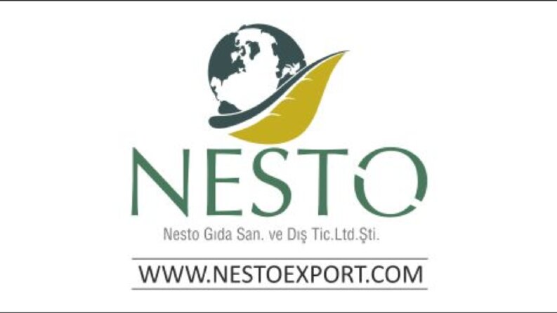profesyonel logo tasarımı