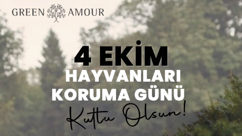 Özel Gün Tasarımları