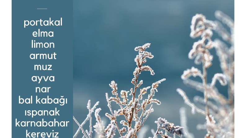 Konsept Sosyal Medya Postları