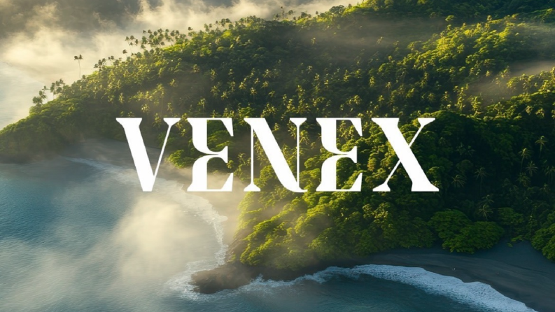 Venex Projesi • Konsept Logo Çalışması