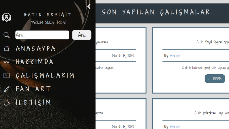 Wordpress Blog Sitesi