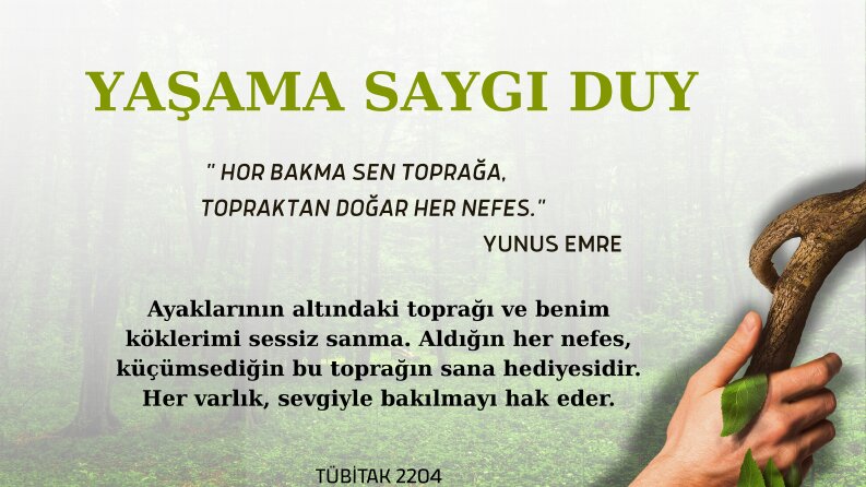 Akademik Proje ve TÜBİTAK 2204 Poster Tasarımı.