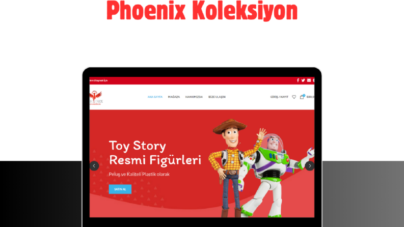Phoenix Koleksiyon