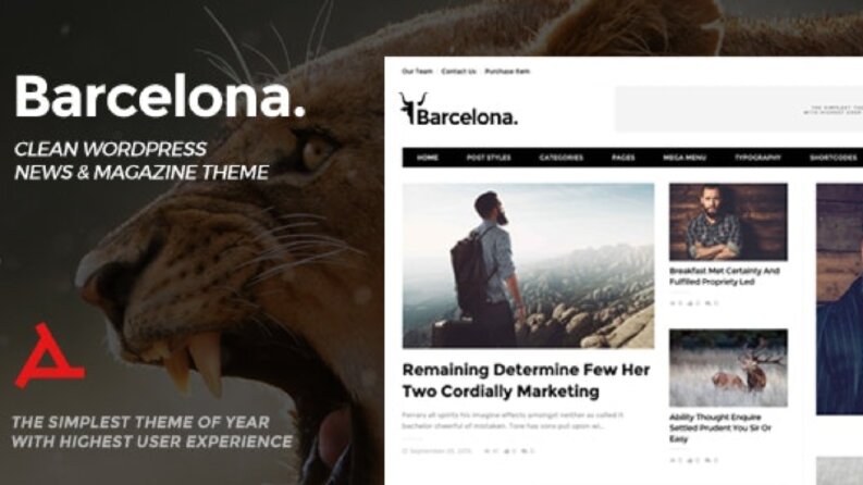 ThemeForest wordpress magazin teması