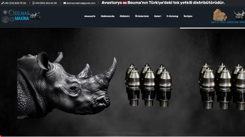 Delmas Makina - Web Sitesi