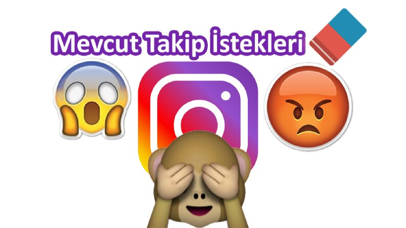 Instagram İstekleri Silme