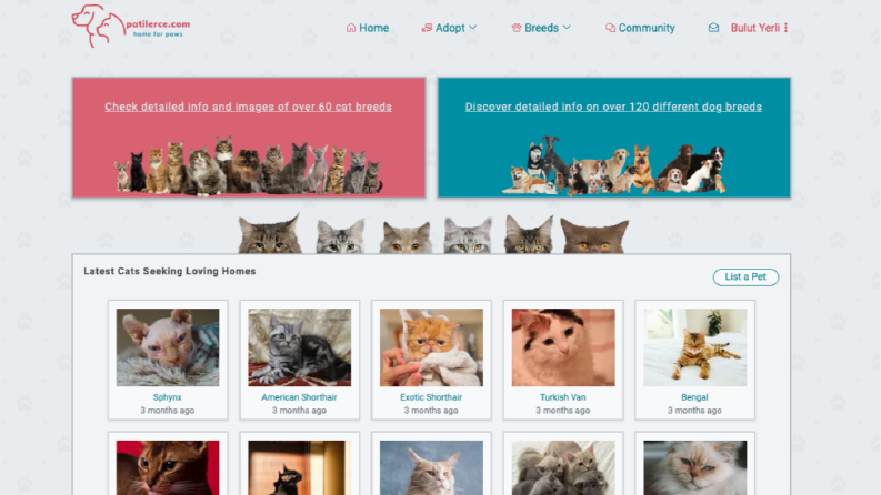 Next.js ile fullstack evcil hayvan sahiplendirme sitesi