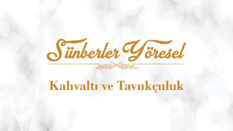 sunberleryoresel sosyal medya kuruluşu ve yönetimi