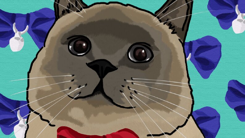 Kedi-Illustration
