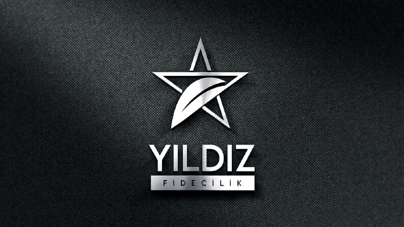 Kurumsal logo tasarımı