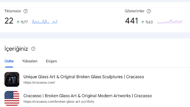 Cracasso.com Seo Hizmeti
