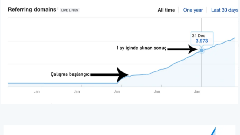 Baclink Satın Al Hizmeti Verdiğim E-Ticaret Müşteri Referans