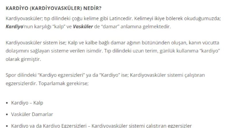 Web sitesi içerikleri hazırlarım