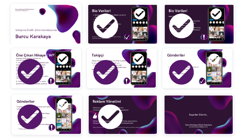 Web Site ve Instagram Profil İnceleme (Check-up)