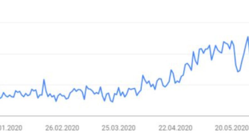 SEO Performans Özeti