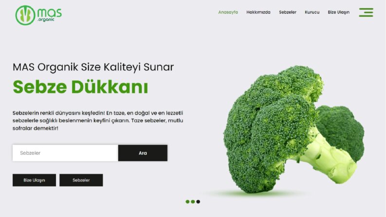 MAS Organic Sitesi Yapımı