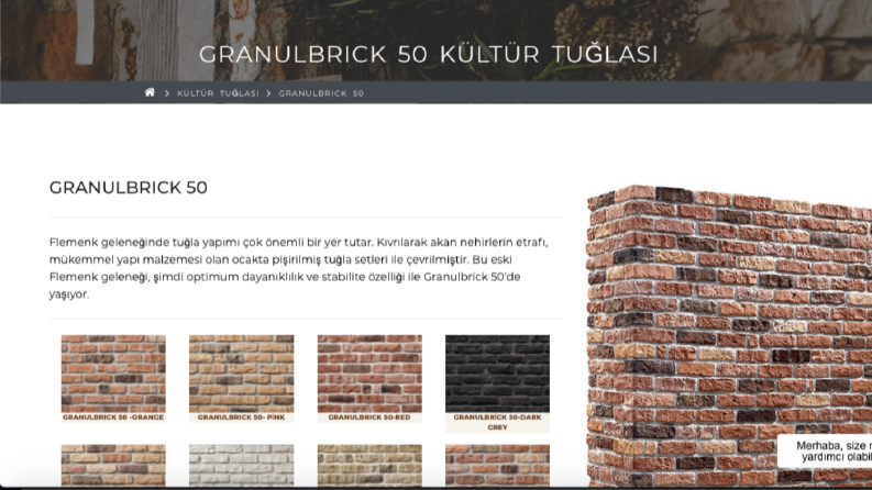Kurumsal web sitesi