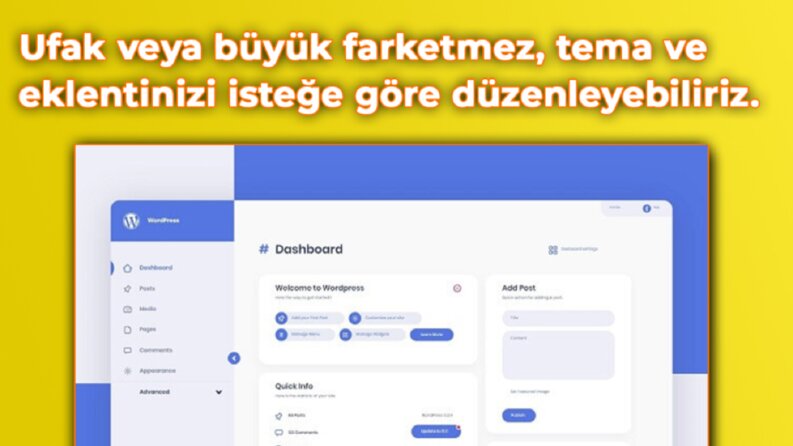 WordPress Düzenleme