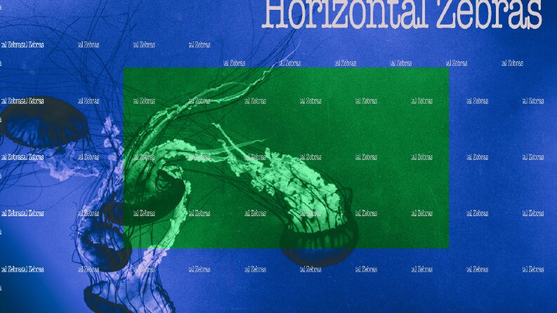 Horizontal Zebras müzik projesine yaptığım albüm kapakları