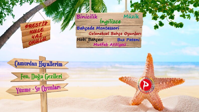 Yaz Okulu Postları