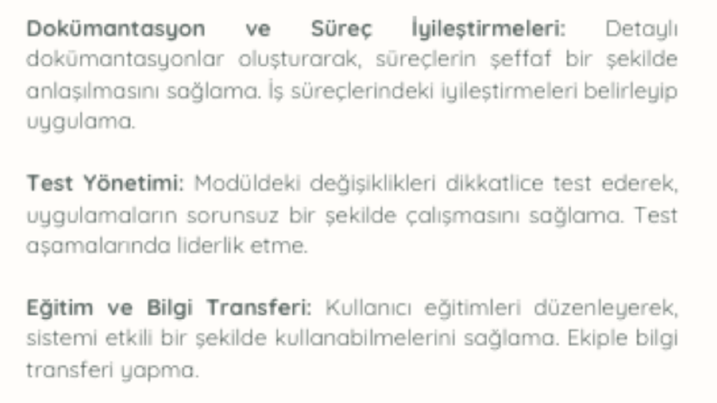 İş Analizi ve Süreç Yönetimi