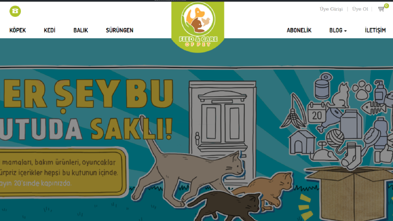 Eticaret iş örneği