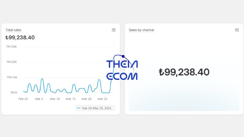 Shopify Altyapılı Websitelerin 30 Günlük Ciro Analizi