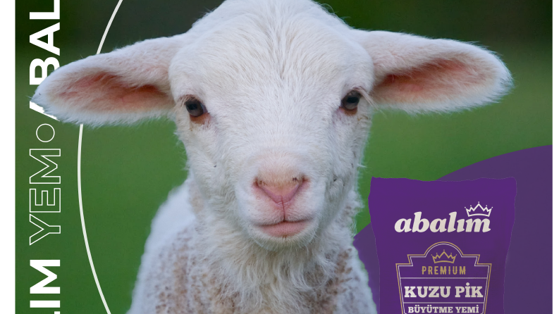 Abalım Tarım Sosyal Medya Tasarımları 