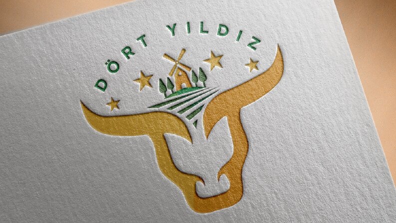 Dört Yıldız Logo ve Kurumsal Kimlik Çalışması