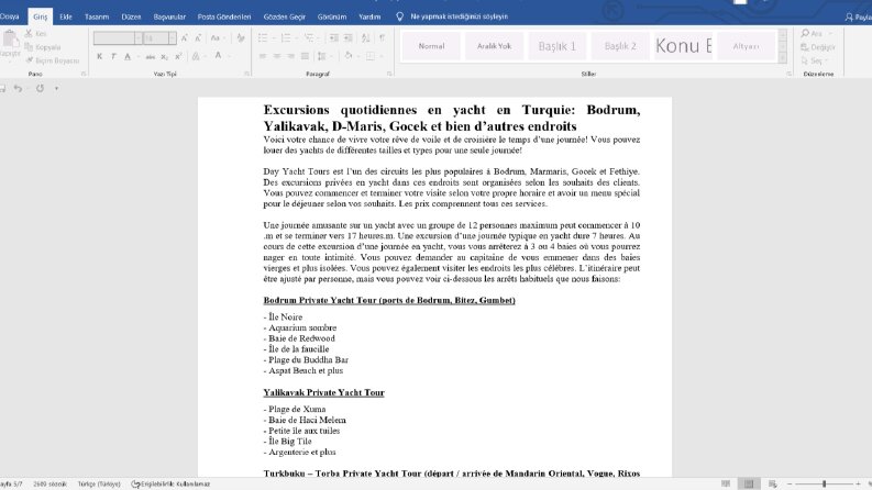 Web Sitesi Blog Çevirisi Fransızca