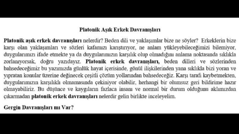 SEO Uyumlu Yazı-1
