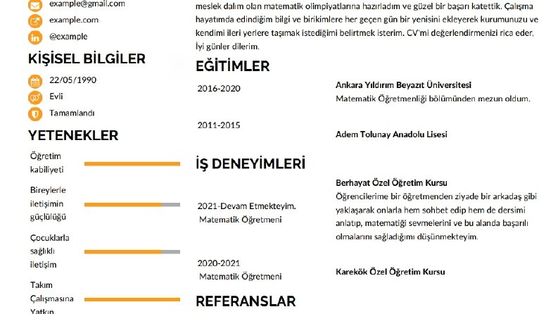 Göz Alıcı Cv Tasarımları 