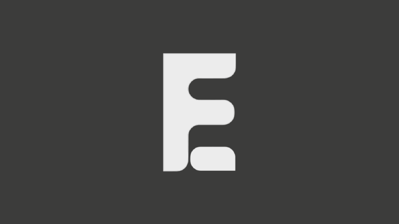 fe logo