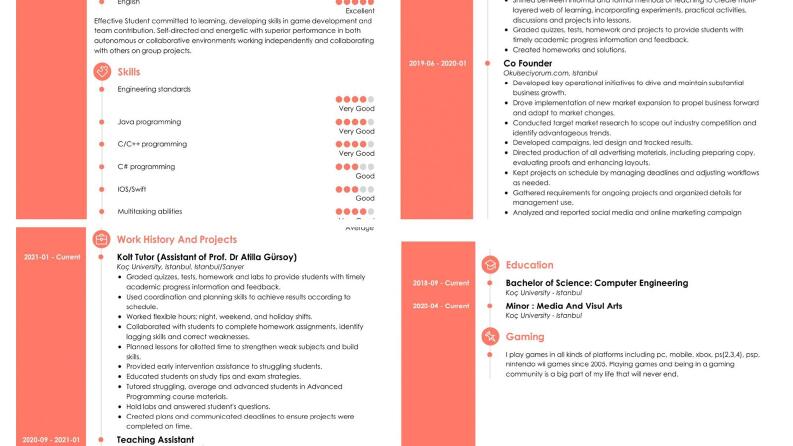 PROFESYONEL CV VE COVER LETTER TASARIMI