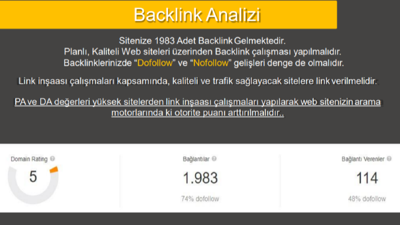 Detaylı Backlink analizi ve Önerisi