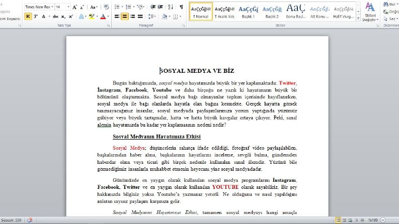 Makale Örneği