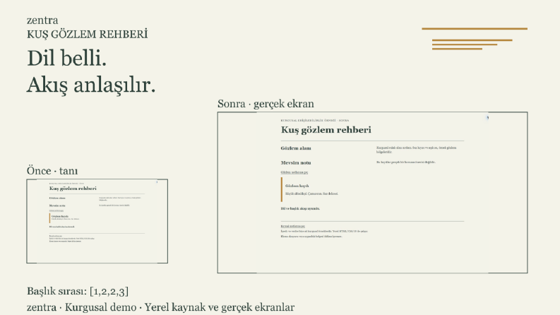 Kuş rehberinde anlaşılır başlık akışı