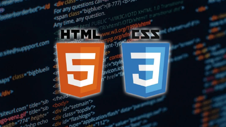 Web sitesi tasarımları