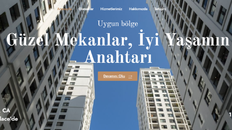 WordPress tasarımı ve şablon özelleştirme 