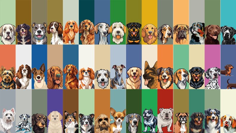 KÖPEKLER KİTAP AYRACI KONSEPTİ