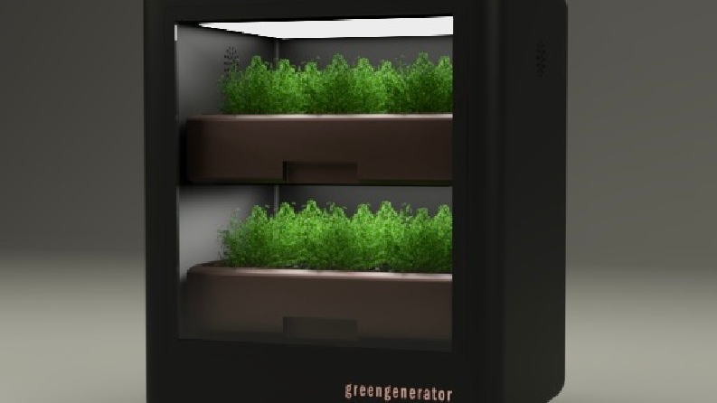 Interior Gardening