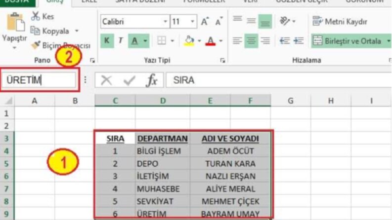 Veri girişi, tablo oluşturma, grafik oluşturma