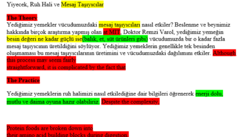 Çeviri uyarlaması