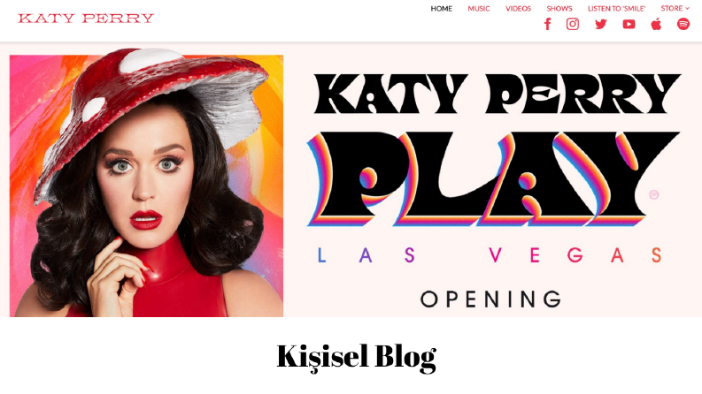 Wordpress Kişisel Blog Kurmak