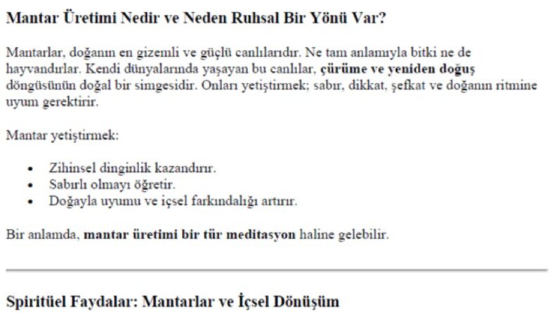 Mantar Üretimiyle Spiritüel Bir Yolculuk