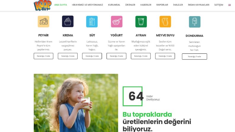 Kurumsal web siteleri (Koopsüt)