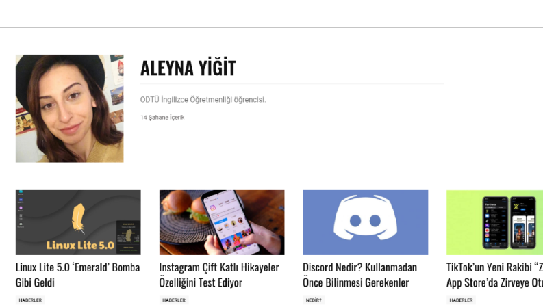Web sitesi yazarlığı2